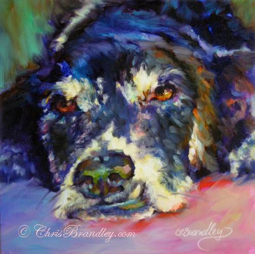 Furry Faces: Oil Painting Alla Prima Style