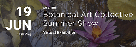 Botanical Art Collective Summer Show: Virtual Exhibition